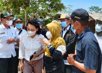 Jaga Kelestarian Hutan Mangrove, Pemkab Pulpis Bakal Tanam Kembali