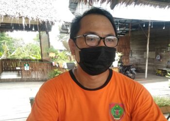 Kembangkan Kelapa Genjah Varietas Unggul di Kawasan Food Estate
