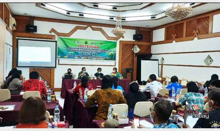 Puskesmas Sebagai Ujung Tombak PIS-PK Pencapaian SPM Kesehatan