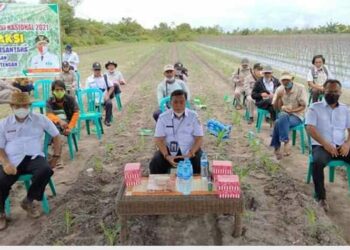 Pertanian Menjadi Penguat Bangsa