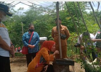 Ketua IAD Pulang Pisau Siap Promosikan Madu Klulut Kelawa