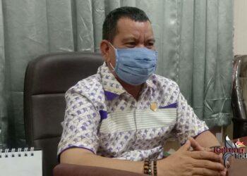 Legislator Dorong Peremajaan Kebun Sawit Masyarakat