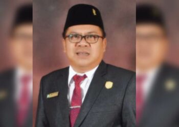 Wakil Ketua 1 DPRD Pulpis Minta Pemkab Dampingi Pemdes
