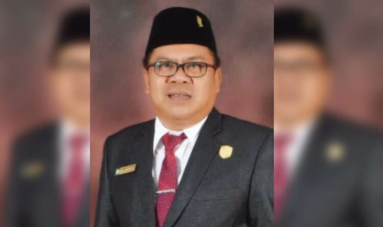 Wakil Ketua 1 DPRD Pulpis Minta Pemkab Dampingi Pemdes