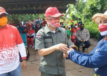 Rangkaian IBAB dan Pekan Peduli Orangutan, Bupati Seruyan Lakukan Penanaman Pohon