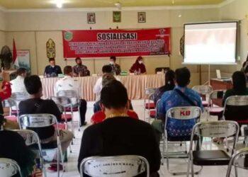 DPMPTSP Pulpis Sosialisasi OSS-RBA di Jabiren Raya