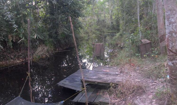 Warga Desa Magantis Inginkan Pengerukan Alur Sungai Bermanfaat Kurangi Risiko Banjir