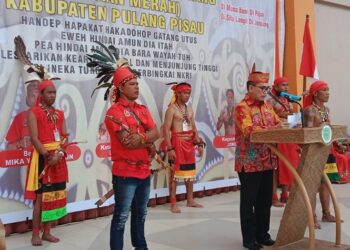 DPD Perpedayak PLB Pulang Pisau Gelar Deklarasi dan Pengukuhan