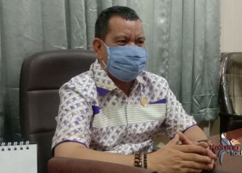 Dana DAK DR Harusnya Untuk Pemulihan Hutan Yang Kritis