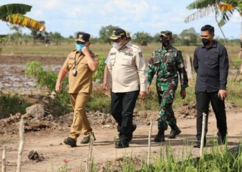 Gubernur Kalteng Optimis Program Food Estate Berhasil