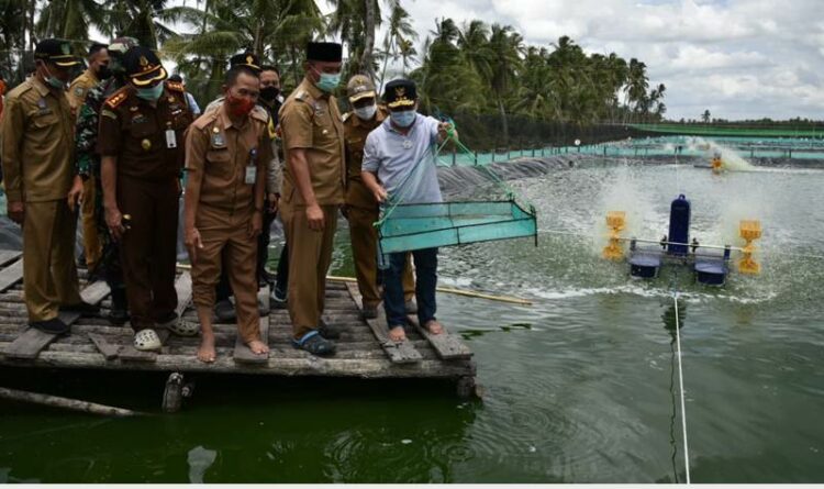 Gubernur Kalteng Potensi Kelautan Kalteng Sangat Besar Khususnya Perikanan