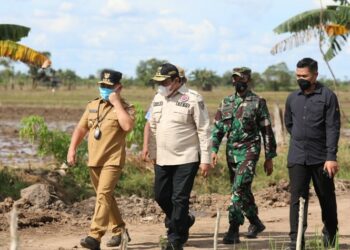 Gubernur Kalteng Siap Sukseskan Program Strategis Nasional Food Estate