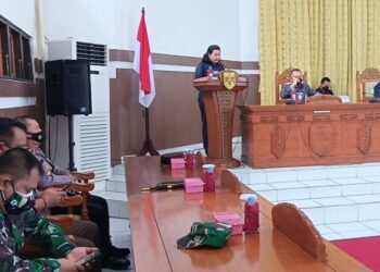 Anggota DPRD Gumas Rayaniatie Djangkan sampaikan saran ke eksekutif terkait tiga perda yang disetujui, di kantor dewan setempat, Rabu (17/11).