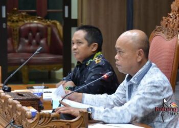Pemerintah Diminta Bantu Sektor UMKM Dalam Pemulihan Ekonomi
