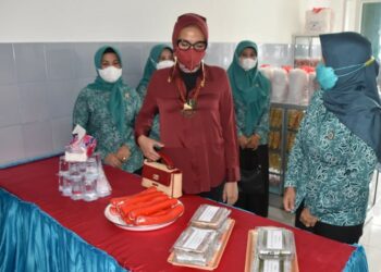 Ketua TP-PKK Kalteng Ajak Promosi Produk Melalui E-Commerce Dekranasda