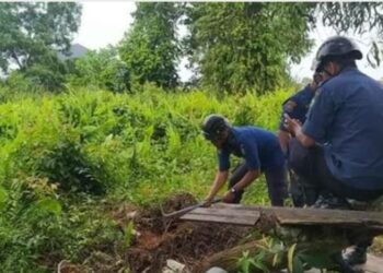 DPKP Kotim Amankan 35 Butir Telur Ular Sanca