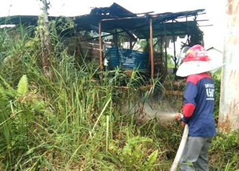 Diduga Akibat Bakar Sarang Lebah, Kantin Sekolah Hangus Terbakar