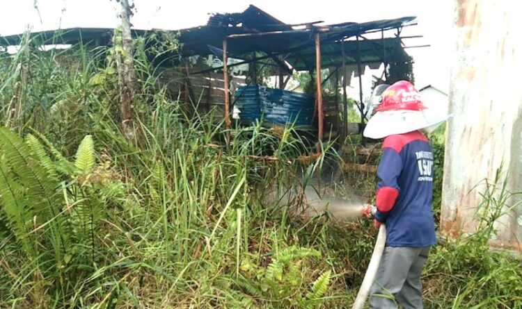 Diduga Akibat Bakar Sarang Lebah, Kantin Sekolah Hangus Terbakar