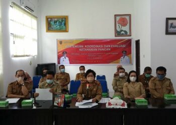 Plt. Kadis Hanpang Pimpin Rakor dan Evaluasi Ketahanan Pangan