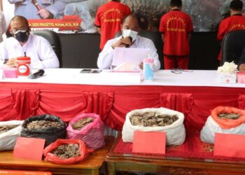 Polisi Amankan 22 Kg Sisik dan Tangkap 4 Pelakunya