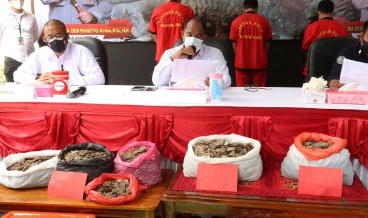 Polisi Amankan 22 Kg Sisik dan Tangkap 4 Pelakunya