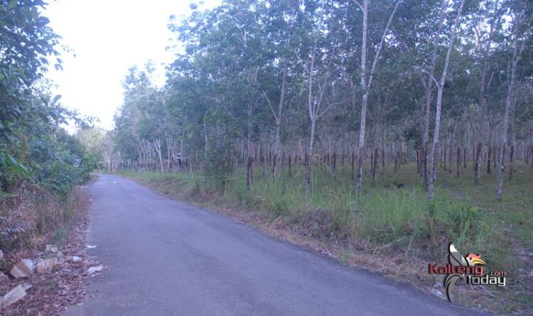 Wajah Kampung Eks Trans Yang Mulai Berubah