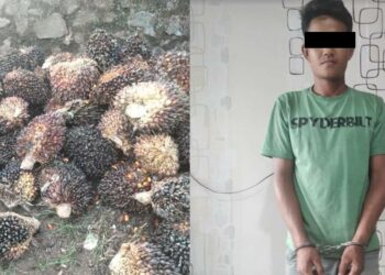 Curi 75 Janjang Buah Sawit, Pemuda Asal Parenggean Diamankan Polisi