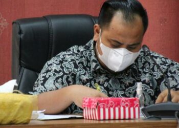 Anggota Komisi A DPRD Kota Palangka Raya, Noorkhalis Ridha.