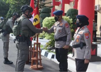Kapolda Kalteng Berangkatkan 1 Kompi Brimob Ikuti Lat Praops Aman Cartenz