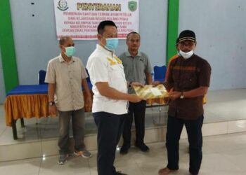 Kejari Pulang Pisau Bersama Dinas Pertanian Menyerahkan Bantuan Ayam Petelur