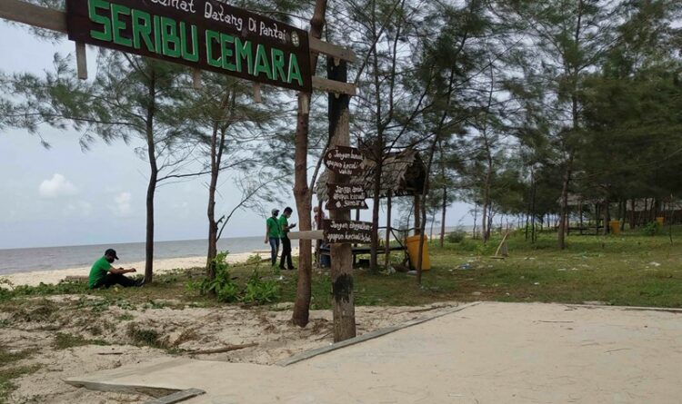 Pantai Seribu Cemara Desa Sungai Bakau salah satu destinasi wisata yang ramai di kunjungi