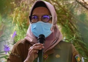 Pemko Palangka Raya Pantau ASN WFH Melalui Aplikasi SISKA dan SIDAN