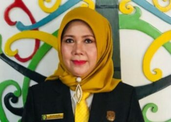 Sekretaris Komisi B DPRD Kota Palangka Raya, Norhaini.