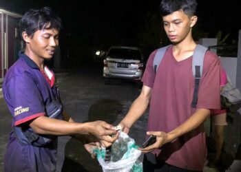 Tim ERP Palangka Raya, Kembali Evakuasi Ular Sepanjang Satu Meter