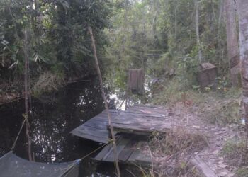 Penangkaran Ikan ala Karamba Bisa Jadi Alternatif Ekonomi Tambahan