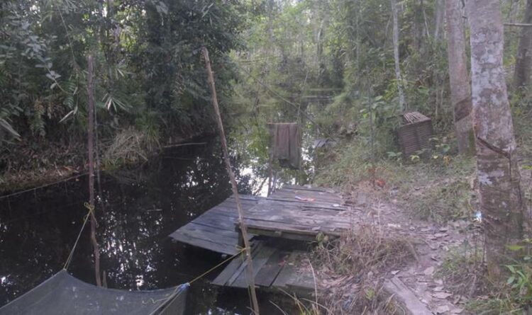 Penangkaran Ikan ala Karamba Bisa Jadi Alternatif Ekonomi Tambahan