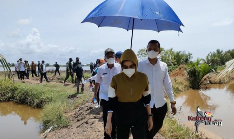 Bupati Pudjirustaty Narang Kunjungi Petani Ikan di Mantaren II