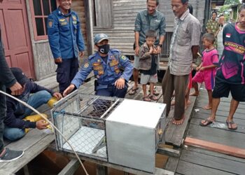 Kepala Seksi Pengendali Operasi dan Komunikasi Penyelamatan, Bidang Penyelamatan, Dinas Pemadam Kebakaran dan Penyelamatan (DPKP) Kota Palangka Raya, Sucipto, pada saat melihat kondisi korban gigitan kera.