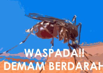 Dinkes : Warga Diharapkan Waspada DBD