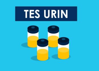 Cegah Guru Terlibat Sabu, Pemkab Kotim Segera Lakukan Tes Urine,