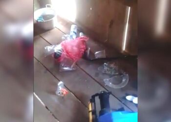 Beruang Rusak Pondok Warga di Sampit