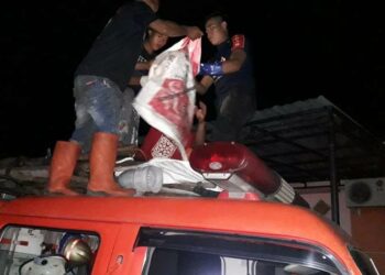 Lepas Dari Kandang Peliharaan, Seekor Kera Serang Bocil