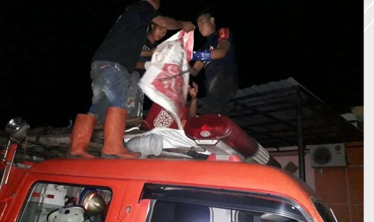 Lepas Dari Kandang Peliharaan, Seekor Kera Serang Bocil