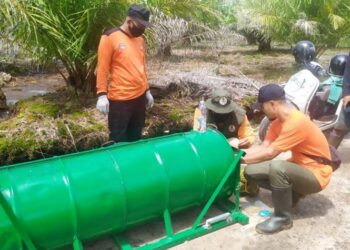 Beruang Resahkan Warga Sampit, BKSDA Pasang Perangkap
