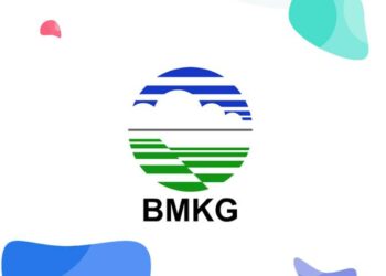 BMKG : Waspada Musim Penghujan, Rawan Pohon Tumbang