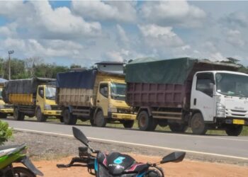 Aktivitas Angkutan Kayu di Kabupaten Katingan Beralih Pakai Truk Kecil