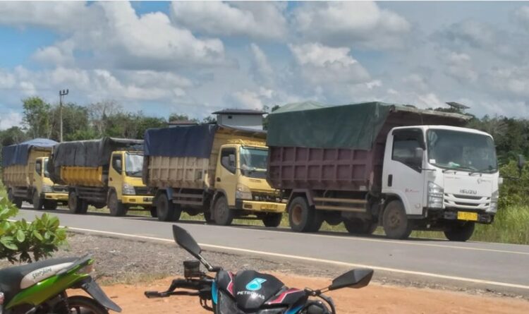 Aktivitas Angkutan Kayu di Kabupaten Katingan Beralih Pakai Truk Kecil