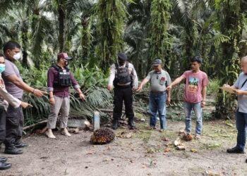 Pelaku (dua dari kanan) saat memperlihatkan TKP kepada Polsek Telawang