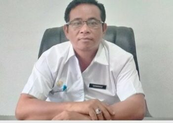 Ini Jumlah Perizinan Yang Telah Diterbitkan DPMPTSP Kabupaten Gumas Tahun 2021
