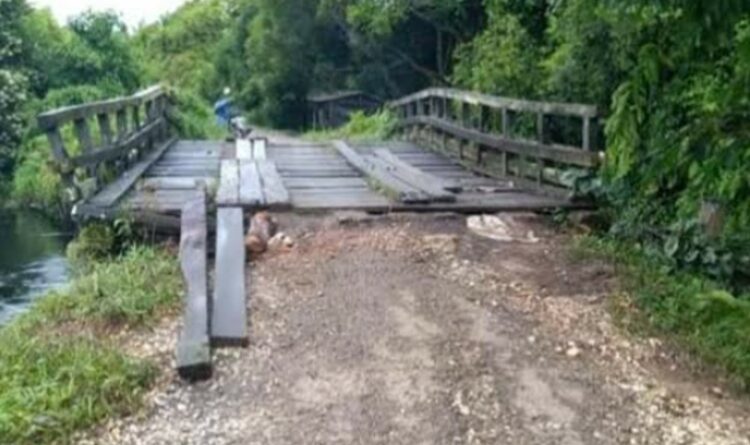 Warga Minta Jembatan Menuju Desa Sumber Rejo Diperbaiki